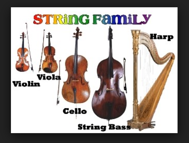 String Family - Mr. Q's Music